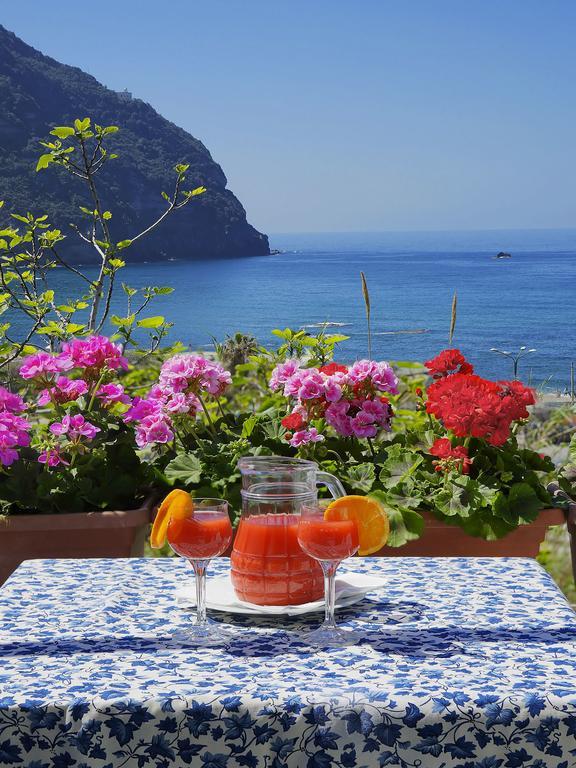 Hotel Casa Del Sole Форио Экстерьер фото